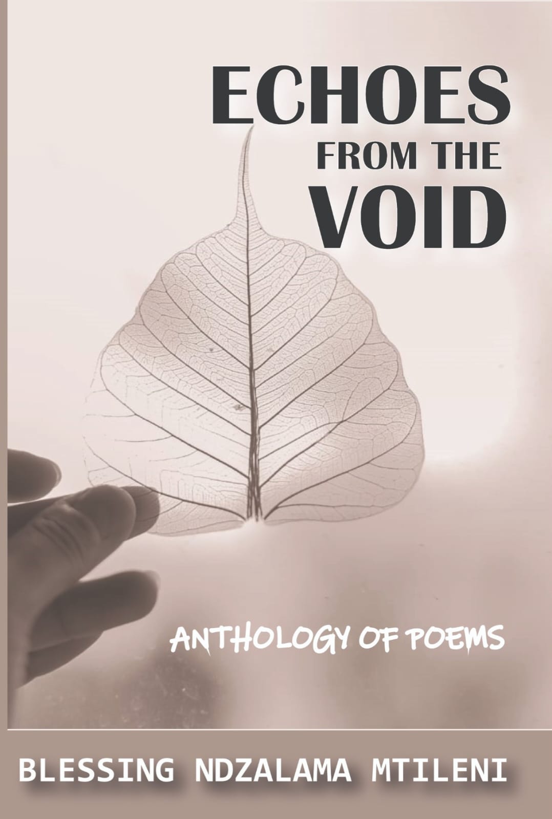 Echoes from the void